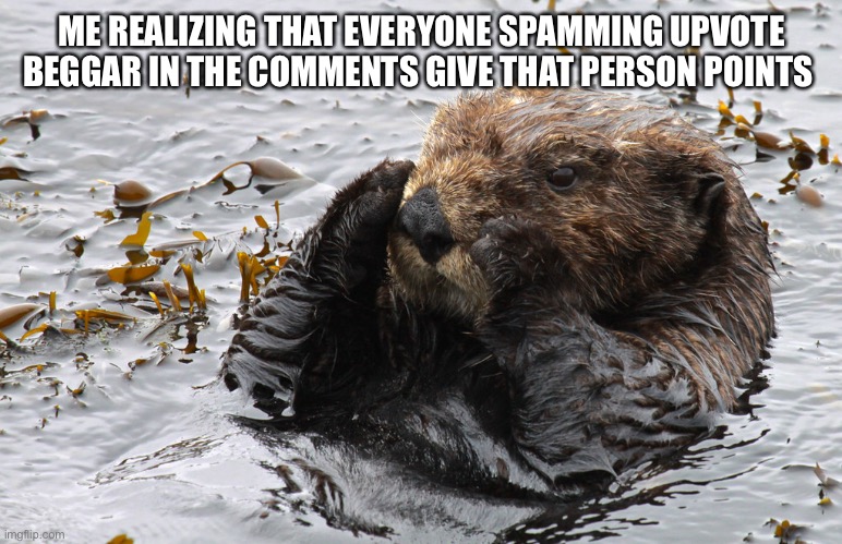 Otters are the best |  ME REALIZING THAT EVERYONE SPAMMING UPVOTE BEGGAR IN THE COMMENTS GIVE THAT PERSON POINTS | image tagged in otter,upvotes | made w/ Imgflip meme maker