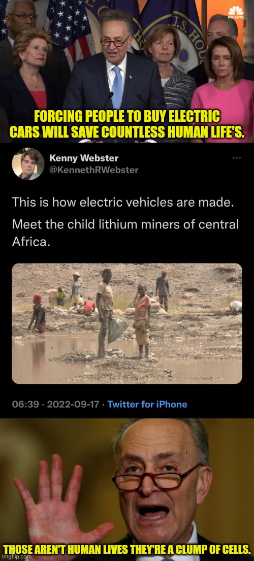 Lithium Mines and African Clump of Cells | FORCING PEOPLE TO BUY ELECTRIC CARS WILL SAVE COUNTLESS HUMAN LIFE'S. THOSE AREN'T HUMAN LIVES THEY'RE A CLUMP OF CELLS. | image tagged in democrat congressmen,chuck schumer,african,children,electric,abortion | made w/ Imgflip meme maker