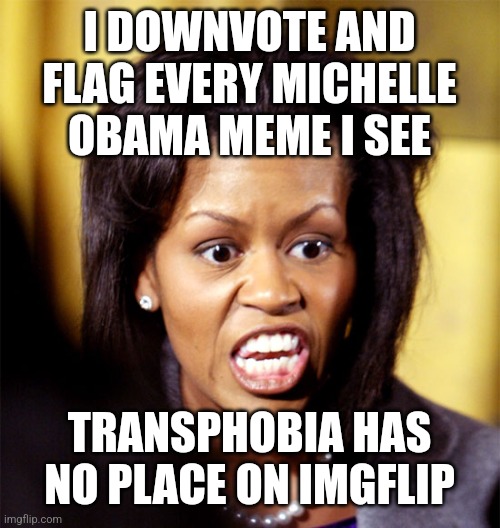 no more transphobia | I DOWNVOTE AND FLAG EVERY MICHELLE OBAMA MEME I SEE; TRANSPHOBIA HAS NO PLACE ON IMGFLIP | image tagged in michelle obama lookalike | made w/ Imgflip meme maker