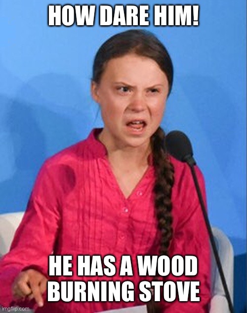 Greta Thunberg how dare you | HOW DARE HIM! HE HAS A WOOD BURNING STOVE | image tagged in greta thunberg how dare you | made w/ Imgflip meme maker