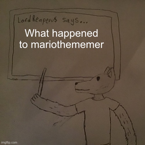 LordReaperus says | What happened to mariothememer | image tagged in lordreaperus says | made w/ Imgflip meme maker