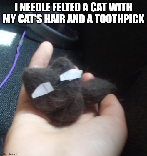 Its hard as hell | I NEEDLE FELTED A CAT WITH MY CAT'S HAIR AND A TOOTHPICK | made w/ Imgflip meme maker