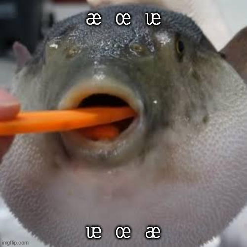 Æugh | æ œ ᵫ ᵫ œ æ | image tagged in ugh | made w/ Imgflip meme maker