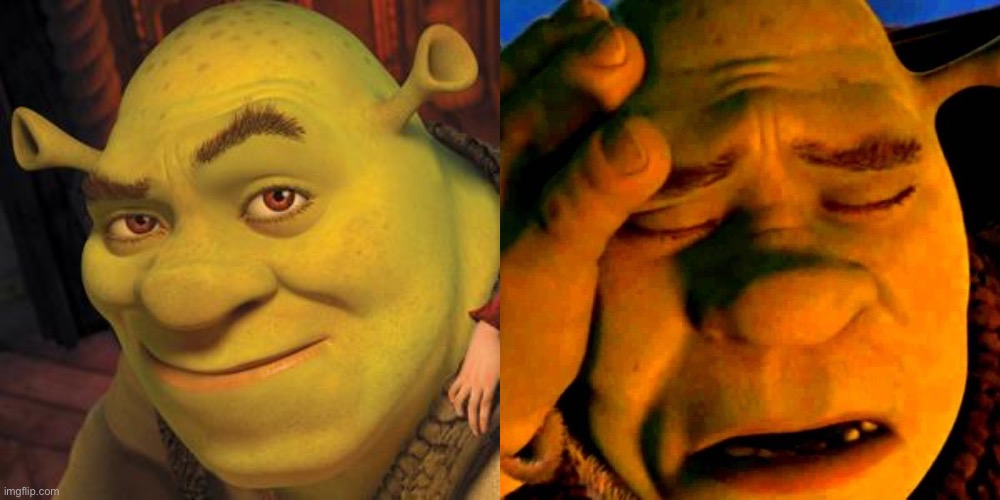 image tagged in shrek sexy face,sad shrek | made w/ Imgflip meme maker