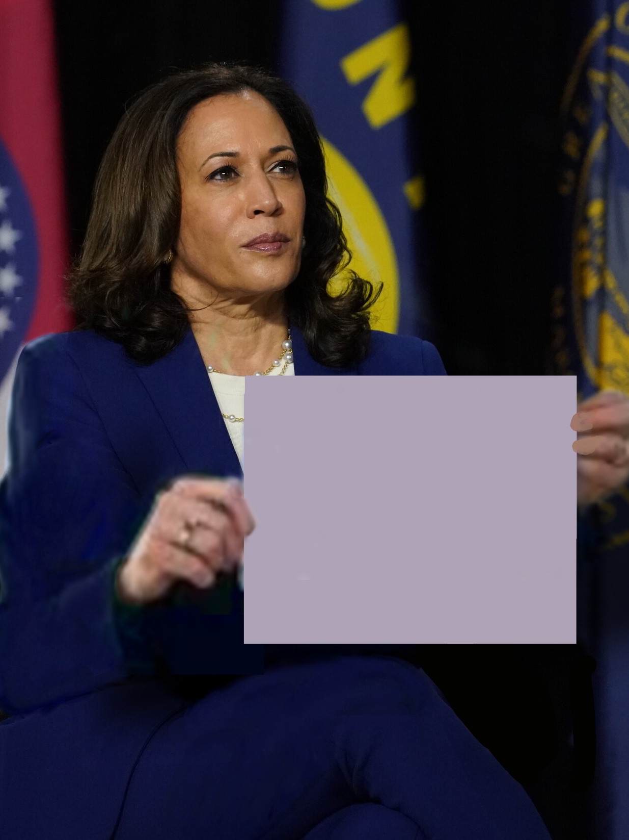 High Quality Kamala Harris Holding Sign Blank Meme Template