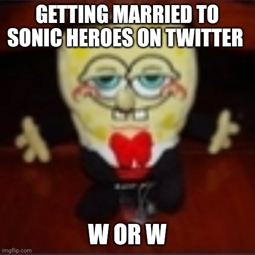 idk.jpg | GETTING MARRIED TO SONIC HEROES ON TWITTER; W OR W | image tagged in idk jpg | made w/ Imgflip meme maker