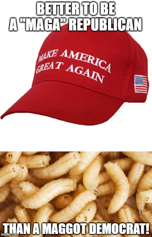 Oddly BOTH phrases are redundant.  MAGA is what all patriots want.  Democrats now are taken over by the woke maggots. |  BETTER TO BE A "MAGA" REPUBLICAN; THAN A MAGGOT DEMOCRAT! | image tagged in maga hat,maggots,democrats,republicans | made w/ Imgflip meme maker