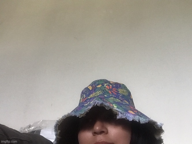 My irl mom got me a hat- (kinda a face reveal ig) | made w/ Imgflip meme maker