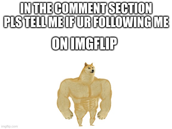 whoooo | IN THE COMMENT SECTION PLS TELL ME IF UR FOLLOWING ME; ON IMGFLIP | image tagged in blank white template,pls,imgflip,imgflip users,followers | made w/ Imgflip meme maker