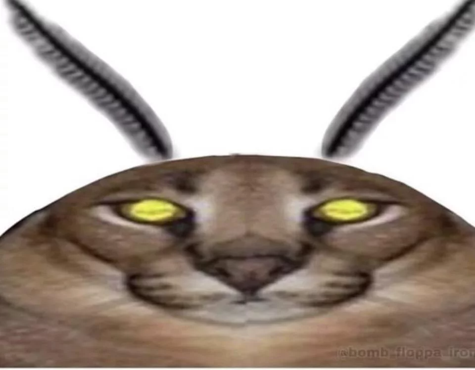 High Quality The moth lord Blank Meme Template