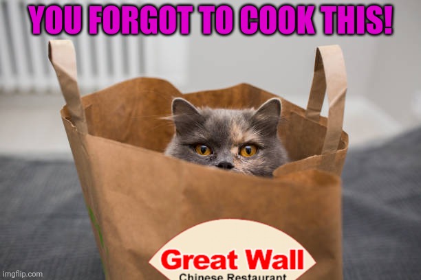 Sunday take out | YOU FORGOT TO COOK THIS! | image tagged in meow,funny cats,chinese food,nom nom nom | made w/ Imgflip meme maker