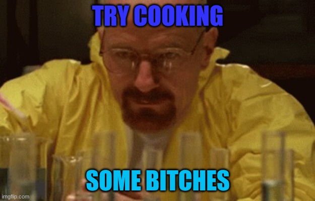 Walter White Cooking | TRY COOKING SOME BITCHES | image tagged in walter white cooking | made w/ Imgflip meme maker
