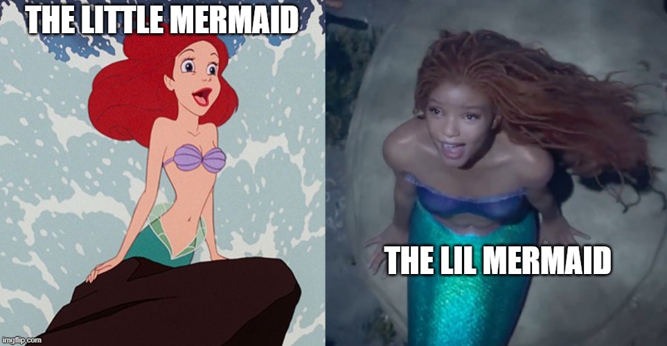 lil mermaid |  THE LITTLE MERMAID; THE LIL MERMAID | made w/ Imgflip meme maker