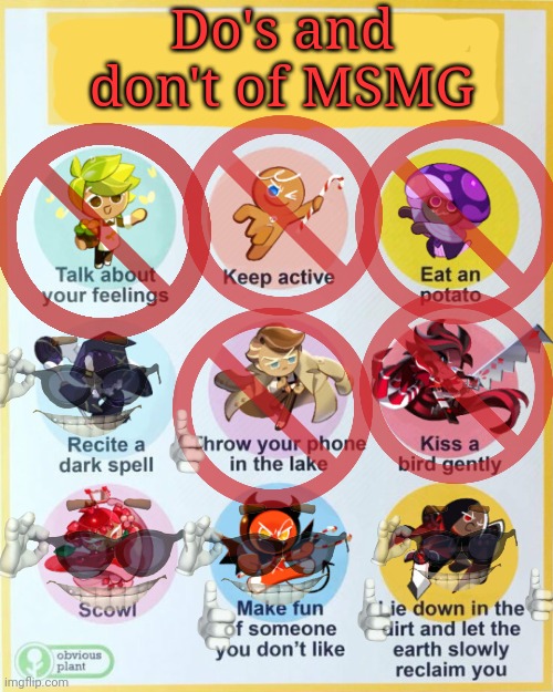 Do's and don'ts | Do's and don't of MSMG | image tagged in msmgs,dos and donts,no,this is not okie dokie | made w/ Imgflip meme maker
