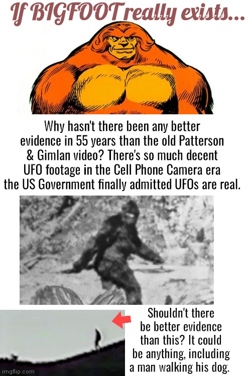 If bogfoot really exists | If BIGFOOT really exists... Why hasn't there been any better evidence in 55 years than the old Patterson & Gimlan video? There's so much decent UFO footage in the Cell Phone Camera era the US Government finally admitted UFOs are real. Shouldn't there be better evidence than this? It could be anything, including a man walking his dog. | image tagged in blank white template | made w/ Imgflip meme maker