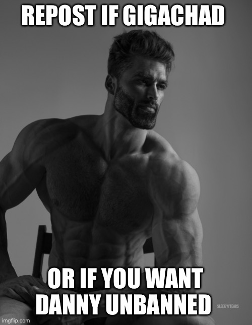Giga Chad | REPOST IF GIGACHAD; OR IF YOU WANT DANNY UNBANNED | image tagged in giga chad | made w/ Imgflip meme maker