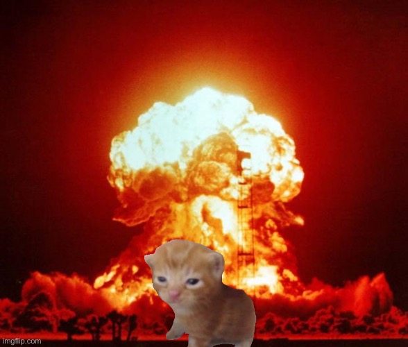 High Quality nuke  cat Blank Meme Template