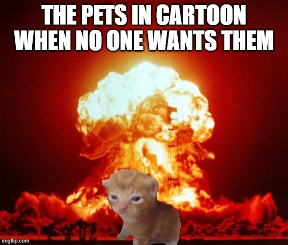 true? | THE PETS IN CARTOON WHEN NO ONE WANTS THEM | image tagged in nuke cat | made w/ Imgflip meme maker