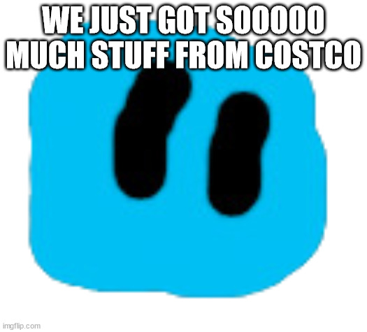 Pixer | WE JUST GOT SOOOOO MUCH STUFF FROM COSTCO | image tagged in pixer | made w/ Imgflip meme maker