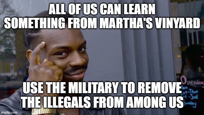 Roll Safe Think About It Meme | ALL OF US CAN LEARN SOMETHING FROM MARTHA'S VINYARD; USE THE MILITARY TO REMOVE THE ILLEGALS FROM AMONG US | image tagged in memes,roll safe think about it | made w/ Imgflip meme maker