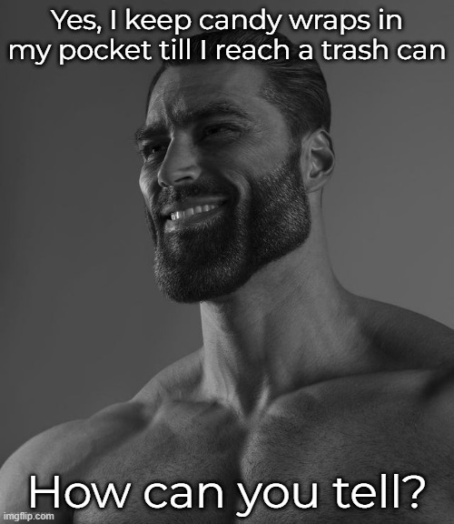 This type of Chads are rare! | Yes, I keep candy wraps in my pocket till I reach a trash can; How can you tell? | image tagged in giga chad | made w/ Imgflip meme maker