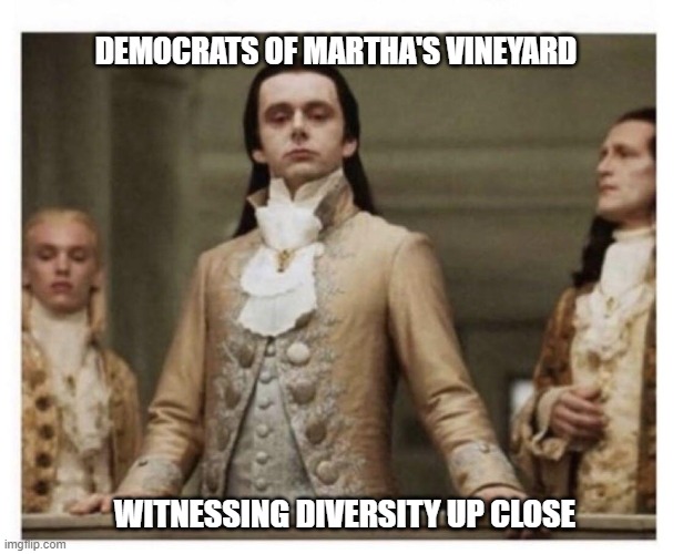 Getting outsmarted by the GOP kinda stings, don't it? |  DEMOCRATS OF MARTHA'S VINEYARD; WITNESSING DIVERSITY UP CLOSE | image tagged in democrats,liberals,woke,joe biden,open borders,outsmarted | made w/ Imgflip meme maker