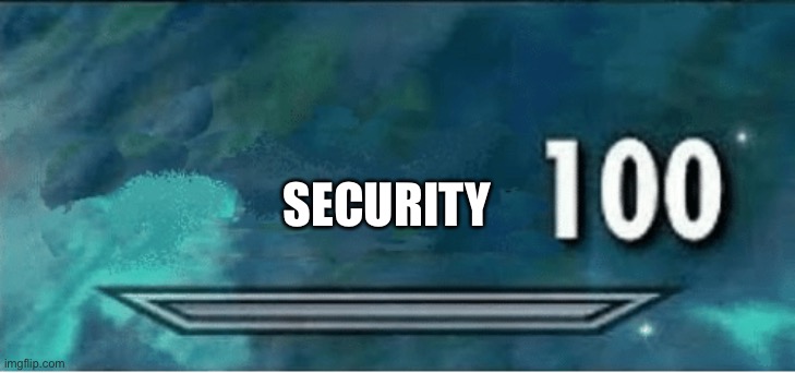 Skyrim 100 Blank | SECURITY | image tagged in skyrim 100 blank | made w/ Imgflip meme maker