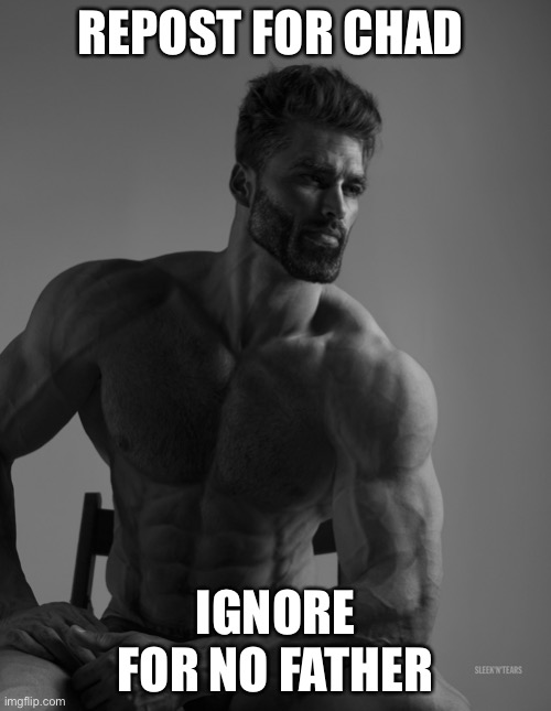 Giga Chad | REPOST FOR CHAD; IGNORE FOR NO FATHER | image tagged in giga chad | made w/ Imgflip meme maker