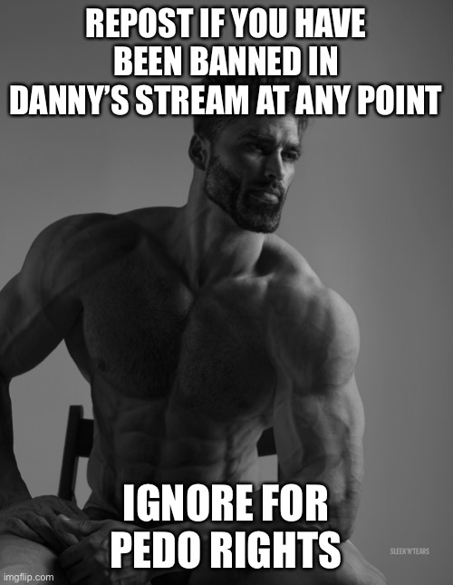 Giga Chad | REPOST IF YOU HAVE BEEN BANNED IN DANNY’S STREAM AT ANY POINT; IGNORE FOR PEDO RIGHTS | image tagged in giga chad | made w/ Imgflip meme maker