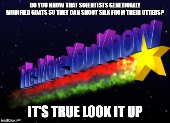 the more you know | DO YOU KNOW THAT SCIENTISTS GENETICALLY MODIFIED GOATS SO THEY CAN SHOOT SILK FROM THEIR UTTERS? IT'S TRUE LOOK IT UP | image tagged in the more you know | made w/ Imgflip meme maker