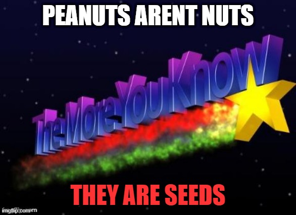 the more you know | PEANUTS ARENT NUTS; THEY ARE SEEDS | image tagged in the more you know | made w/ Imgflip meme maker
