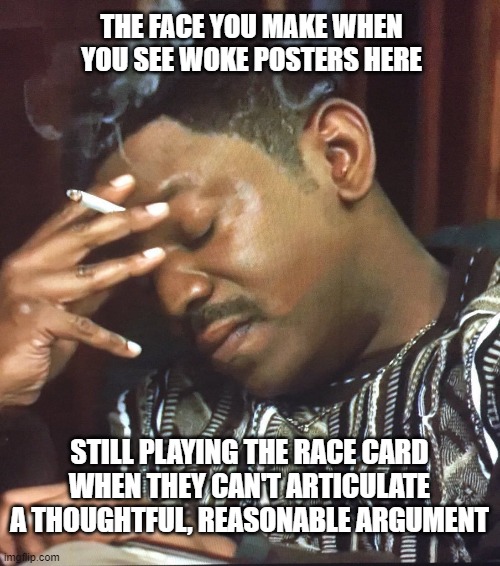 Lib posters here on IMGFLIP be like... | THE FACE YOU MAKE WHEN YOU SEE WOKE POSTERS HERE; STILL PLAYING THE RACE CARD WHEN THEY CAN'T ARTICULATE A THOUGHTFUL, REASONABLE ARGUMENT | image tagged in democrats,woke,liberals,dimwits,race card,disgusted | made w/ Imgflip meme maker
