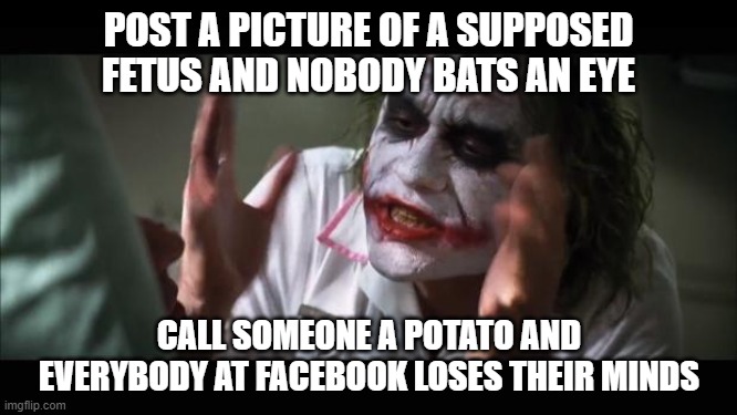 And everybody loses their minds Meme | POST A PICTURE OF A SUPPOSED FETUS AND NOBODY BATS AN EYE; CALL SOMEONE A POTATO AND EVERYBODY AT FACEBOOK LOSES THEIR MINDS | image tagged in memes,and everybody loses their minds,fetus,potato | made w/ Imgflip meme maker