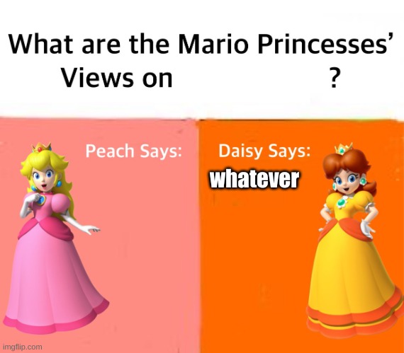 Mario Princesses' Views | whatever | image tagged in mario princesses' views | made w/ Imgflip meme maker