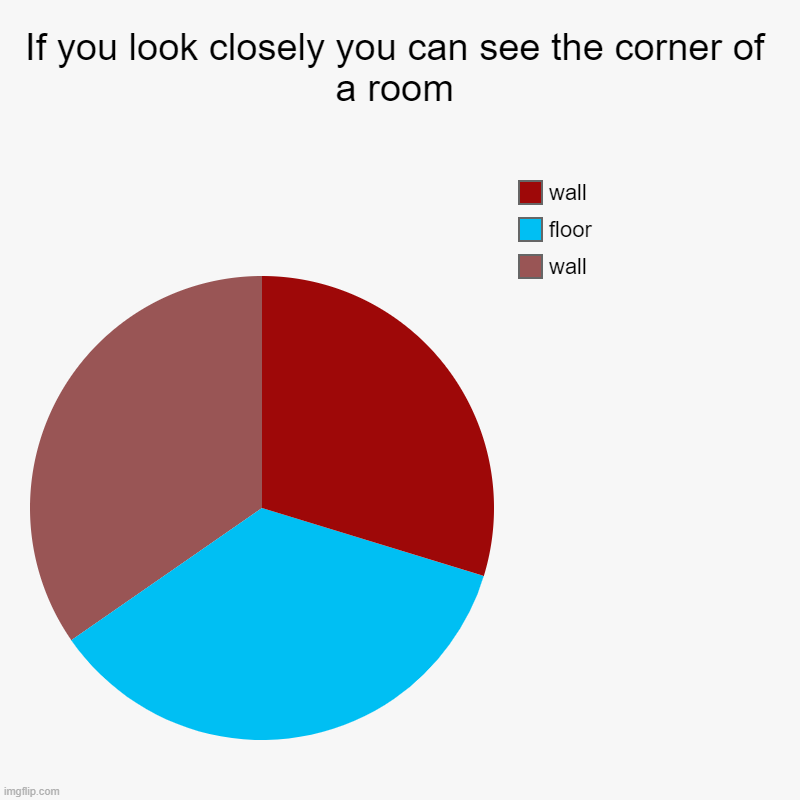 If you look closely you can see the corner of a room | wall, floor, wall | image tagged in charts,pie charts | made w/ Imgflip chart maker