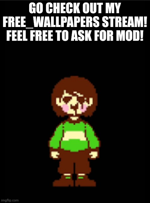 -Chara_TGM- template | GO CHECK OUT MY FREE_WALLPAPERS STREAM! FEEL FREE TO ASK FOR MOD! | image tagged in -chara_tgm- template | made w/ Imgflip meme maker