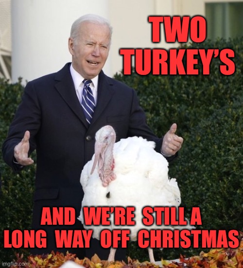 Two Turkeys | TWO
TURKEY’S; AND  WE’RE  STILL A LONG  WAY  OFF  CHRISTMAS | image tagged in biden s turkey,joe biden,turkey,christmas,politics | made w/ Imgflip meme maker