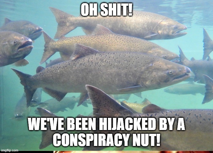OH SHIT! WE'VE BEEN HIJACKED BY A
CONSPIRACY NUT! | made w/ Imgflip meme maker