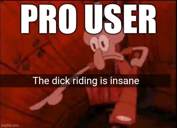 Imgflip pro user | The dick riding is insane | image tagged in imgflip pro user | made w/ Imgflip meme maker