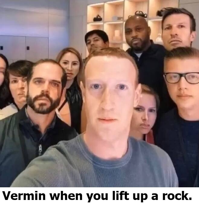 Vermin when you lift up a rock | image tagged in vermin,zuckerberg,twitter,facebook,big tech,bottom feeders | made w/ Imgflip meme maker