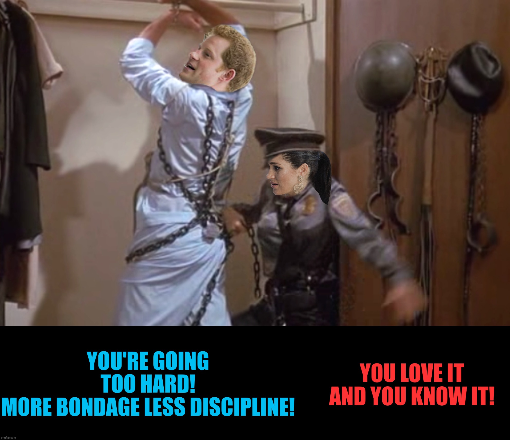 Bad Photoshop Sunday presents:  "...' cause when we get behind closed doors" | YOU'RE GOING TOO HARD!
MORE BONDAGE LESS DISCIPLINE! YOU LOVE IT AND YOU KNOW IT! | image tagged in bad photoshop sunday,prince harry,meghan markle,high anxiety | made w/ Imgflip meme maker