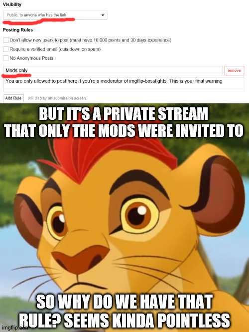 Confused Kion | BUT IT'S A PRIVATE STREAM THAT ONLY THE MODS WERE INVITED TO; SO WHY DO WE HAVE THAT RULE? SEEMS KINDA POINTLESS | image tagged in confused kion,stream,private | made w/ Imgflip meme maker