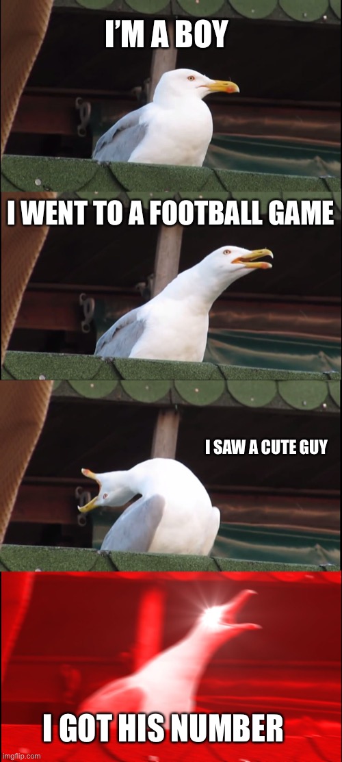 Inhaling Seagull | I’M A BOY; I WENT TO A FOOTBALL GAME; I SAW A CUTE GUY; I GOT HIS NUMBER | image tagged in memes,inhaling seagull | made w/ Imgflip meme maker