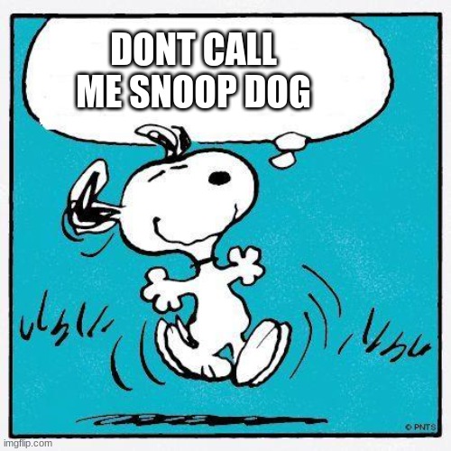 snoopy | DONT CALL ME SNOOP DOG | image tagged in snoopy,snoop dogg | made w/ Imgflip meme maker