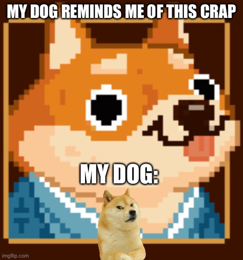 Ahhhhhhhhhhahahahahhahahahahahahaha | MY DOG REMINDS ME OF THIS CRAP; MY DOG: | image tagged in dog memes | made w/ Imgflip meme maker