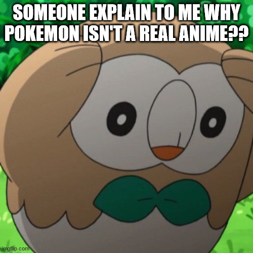 Rowlet Meme Template | SOMEONE EXPLAIN TO ME WHY POKEMON ISN'T A REAL ANIME?? | image tagged in rowlet meme template | made w/ Imgflip meme maker