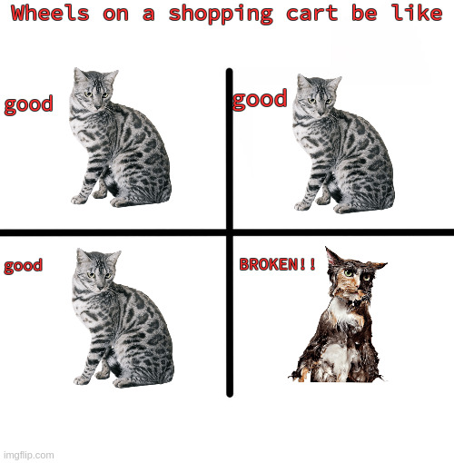 Why is it always that 1 broken wheel on a shopping cart!!!?? | Wheels on a shopping cart be like; good; good; good; BROKEN!! | image tagged in memes,blank starter pack,wheels on a shopping cart be like,funny | made w/ Imgflip meme maker