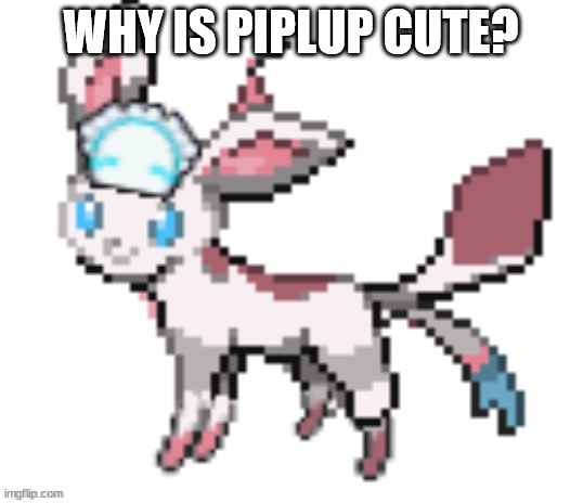sylceon | WHY IS PIPLUP CUTE? | image tagged in sylceon | made w/ Imgflip meme maker