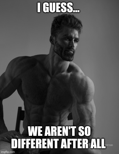 Giga Chad | I GUESS... WE AREN'T SO DIFFERENT AFTER ALL | image tagged in giga chad | made w/ Imgflip meme maker