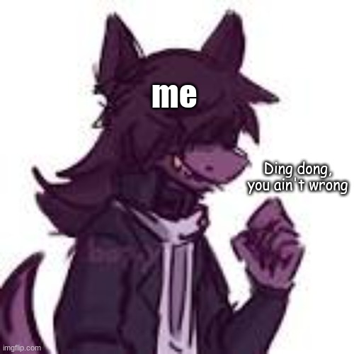 fursona | me Ding dong, you ain't wrong | image tagged in fursona | made w/ Imgflip meme maker